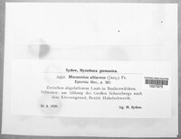 Image Associated With the Occurrence